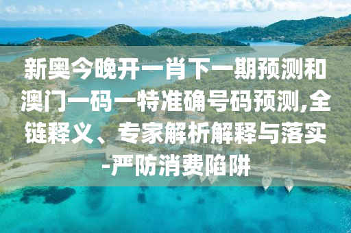 新奧今晚開一肖下一期預(yù)測和澳門一碼一特準(zhǔn)確號碼預(yù)測,全鏈釋義、專家解析解釋與落實(shí)-嚴(yán)防消費(fèi)陷阱
